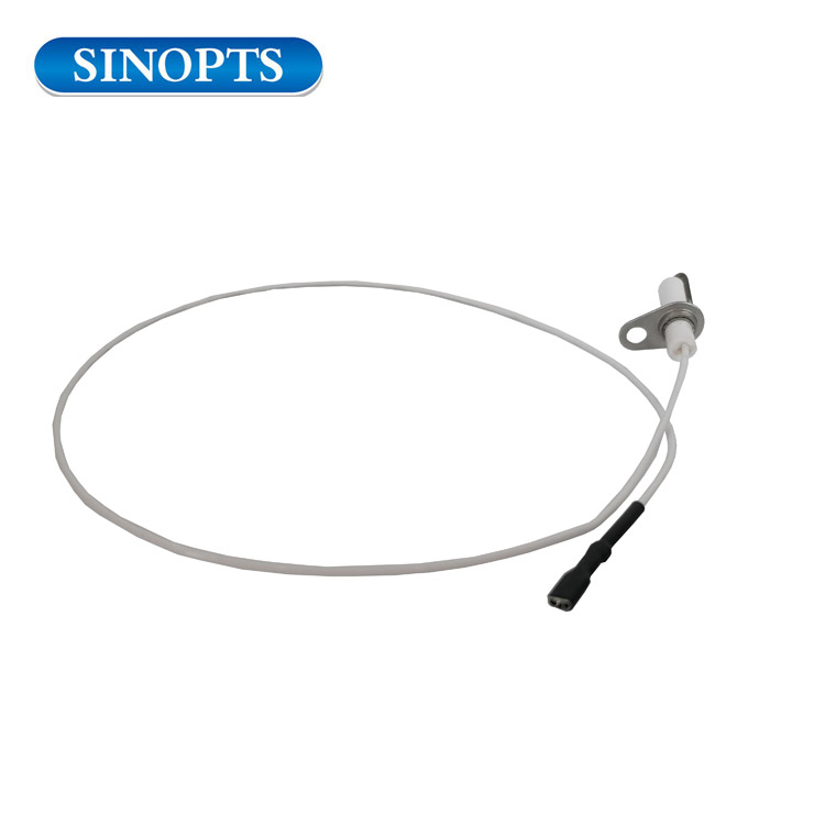 Ignition electrodes for gas oven